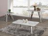 COFFEE TABLE - WHITE/SILVER